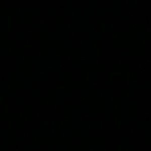 Meet your Posher, Wandy